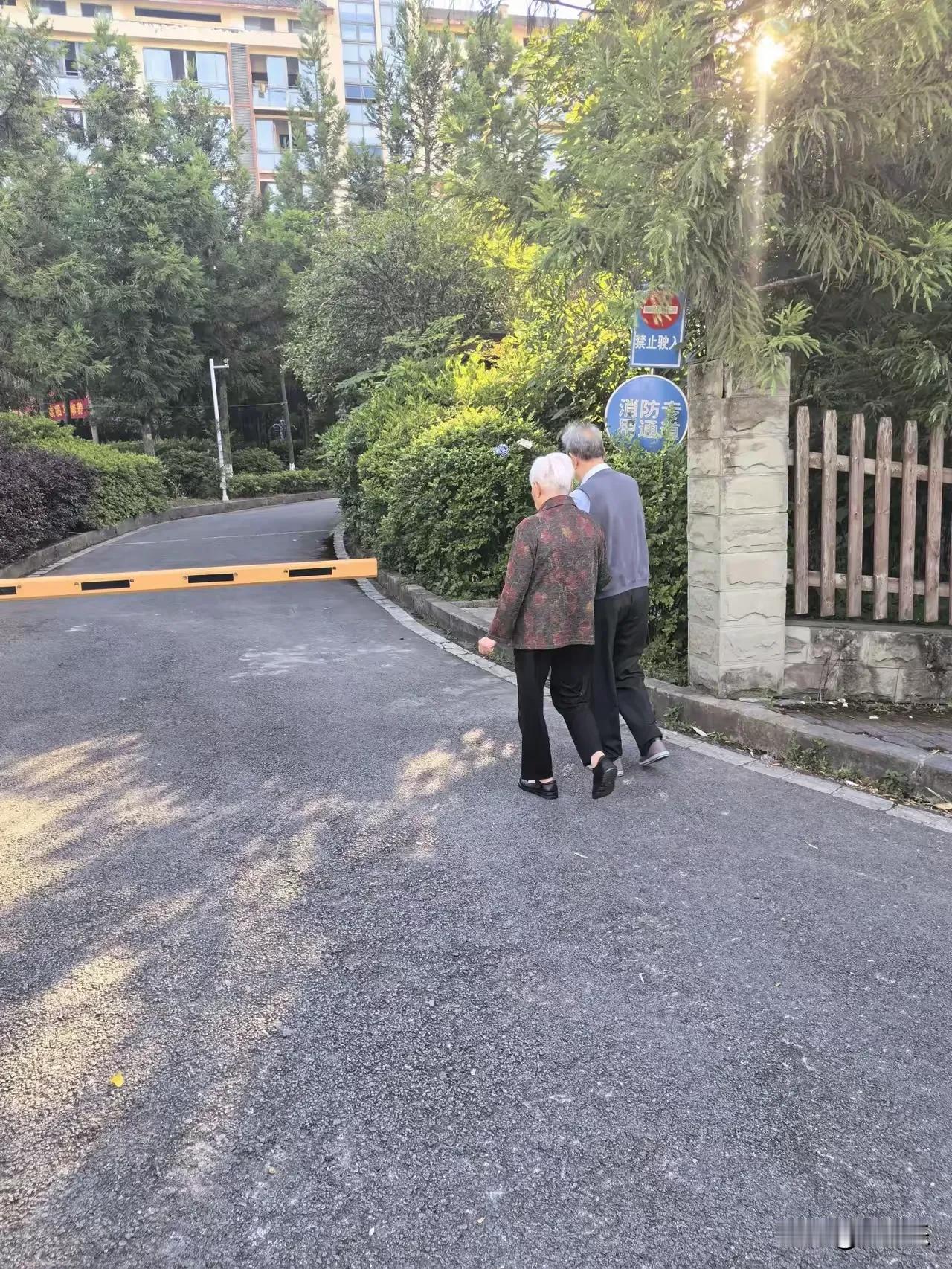性欲，是被误解的生命力很长一段时间里，我们都不敢谈“性欲”这两个字。觉得它是
