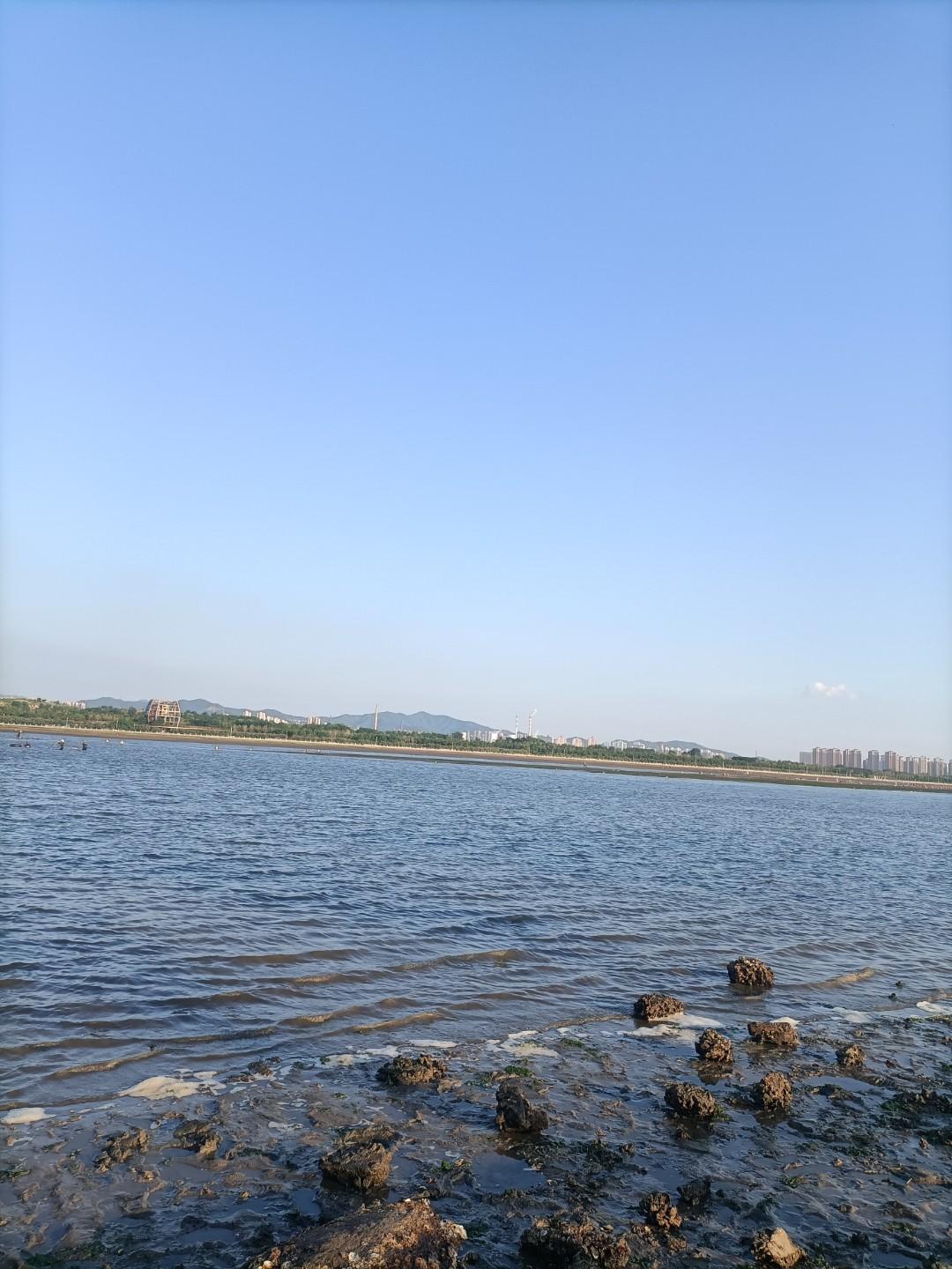 作死的齐后庄公齐后庄公吕光为太子时,父亲齐灵公想立幼子牙为太子,于是把吕光赶