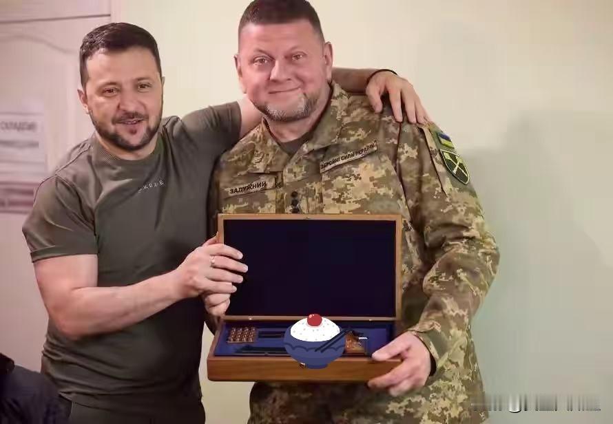 据俄RT12月25日报道，乌SOCIS机构民调显示，若总统大选二轮对决，扎卢日内