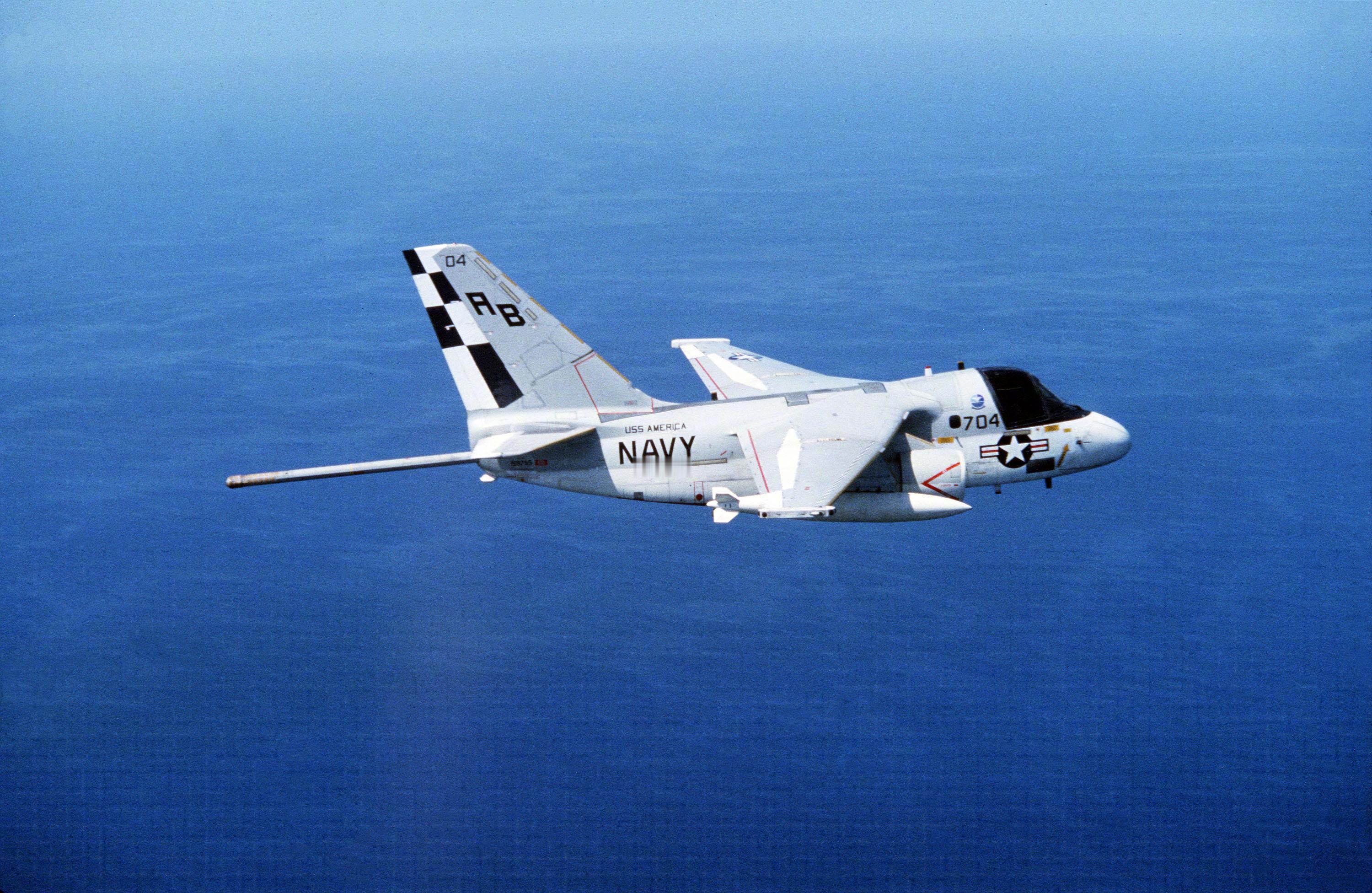 小小的，也很可爱，以防你没见过洛克希德S-3A“北欧海盗”的AN/ASQ-81磁