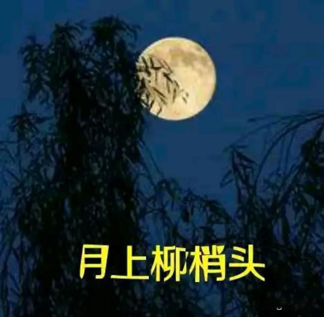 中年女人，对老公要留个心眼﹍﹍我今年50岁，和老公过了一辈子，总算明白了：老