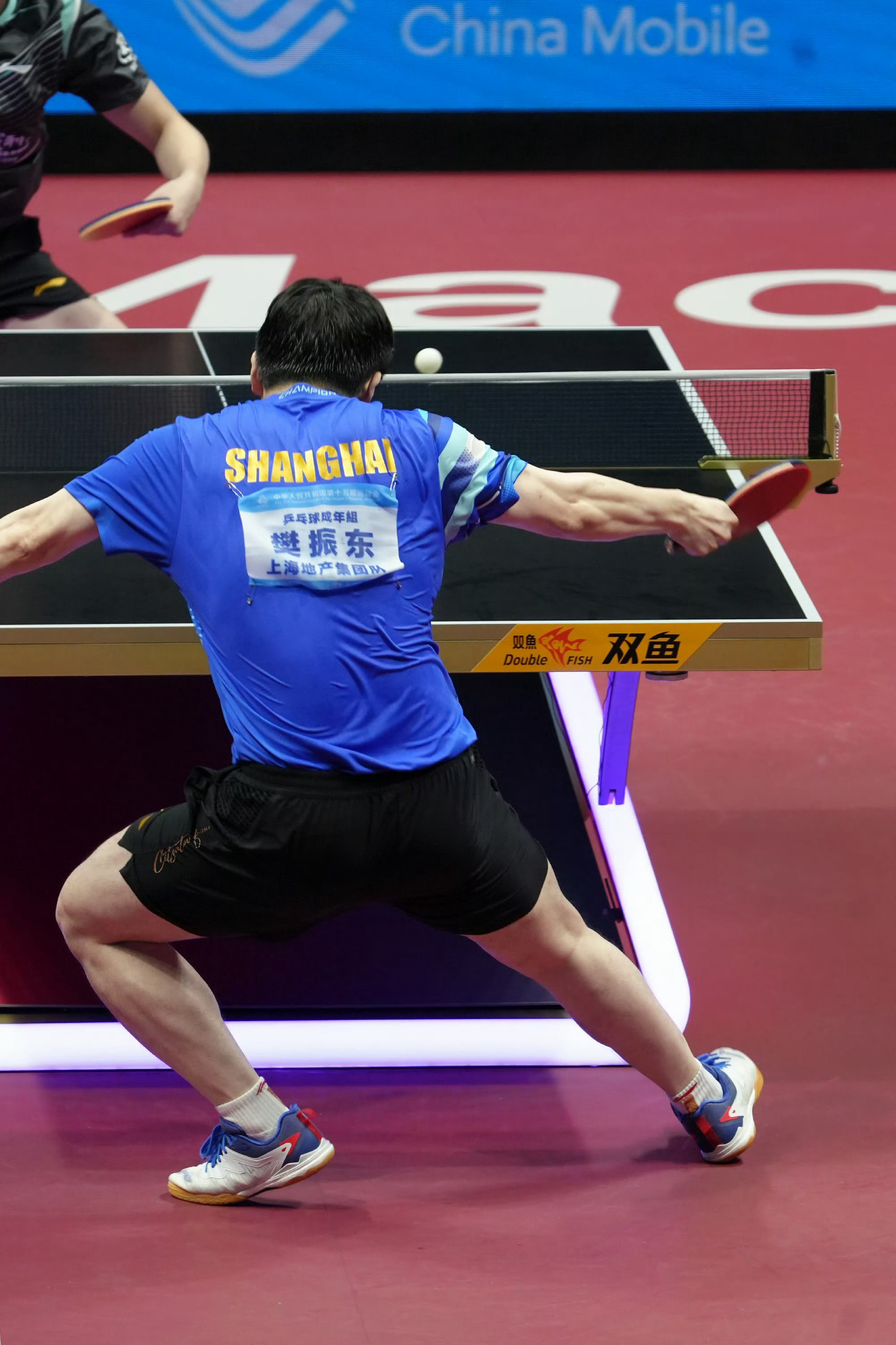 微博之夜微博年度星光人物这个票数当日有效睡前记得清空樊振东