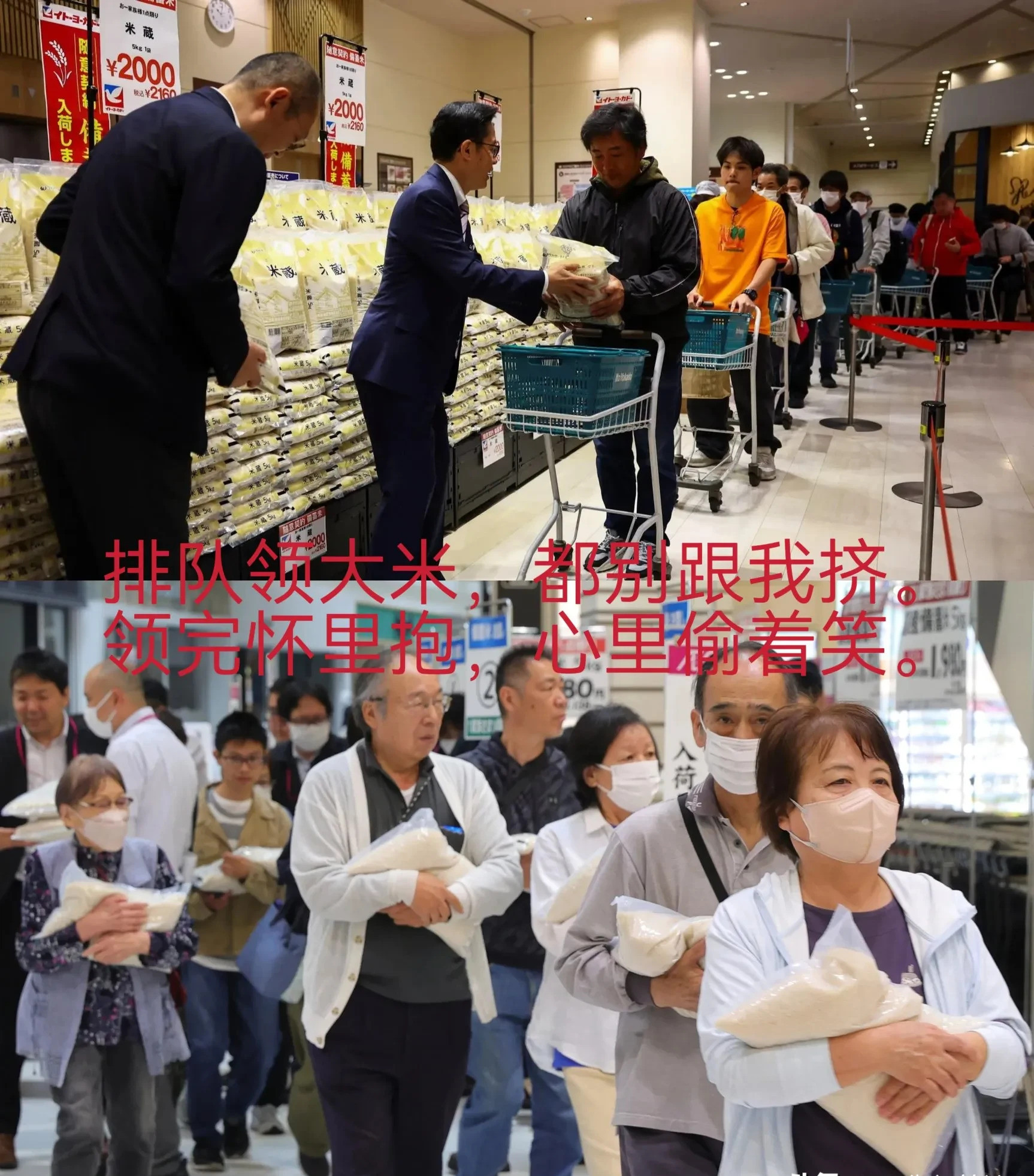 日本大米告急！人要吃猪饲料米？啥？日本竟然要吃猪吃的米了