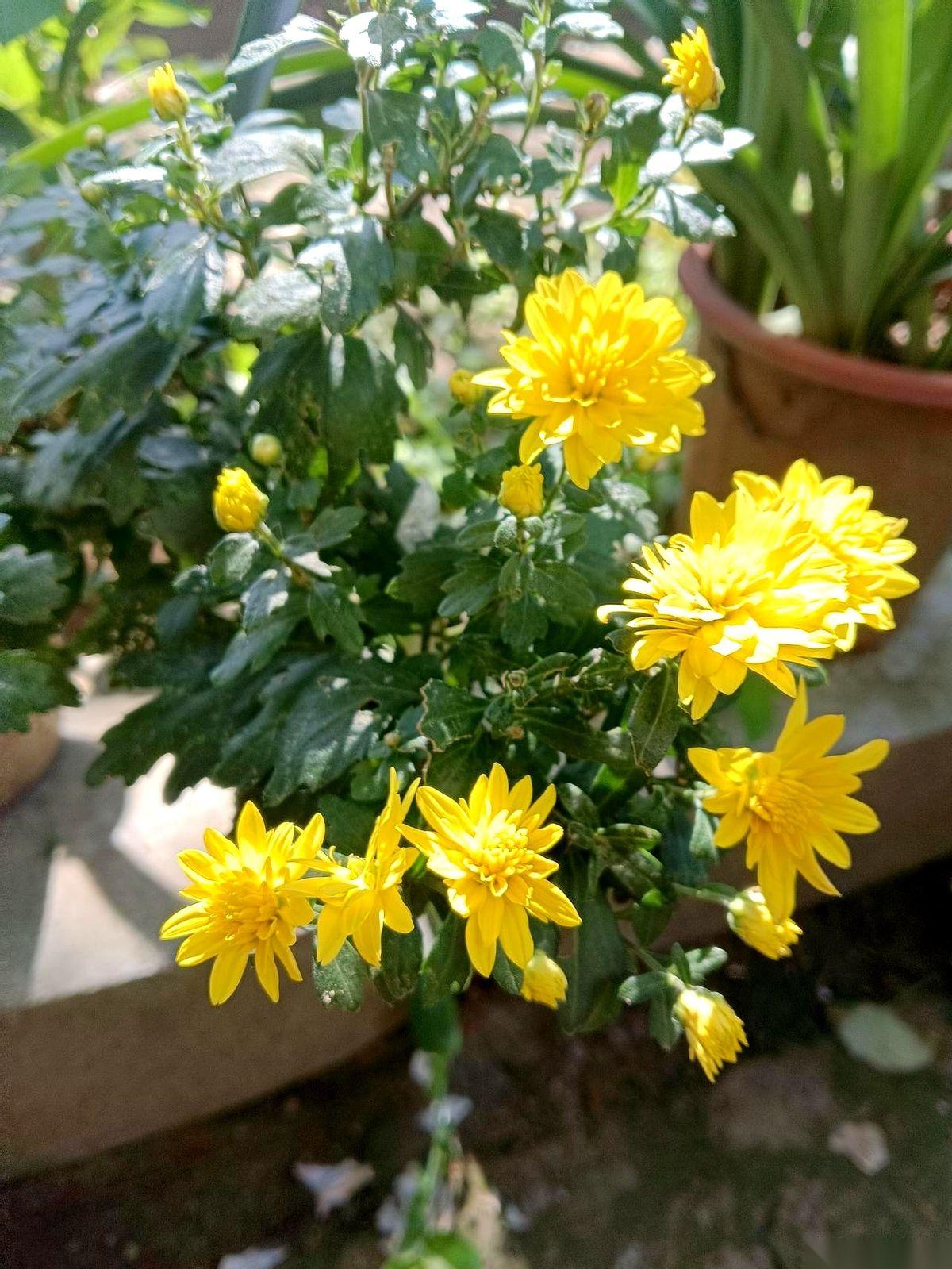 两针下去，240万没了，人也没留住。这就发生在街对门，实实在在的真事儿。邻居