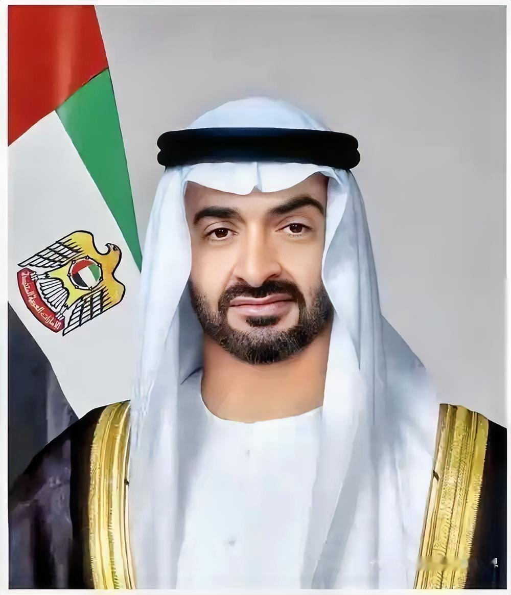 安哥拉拉着阿联酋搞合作,65亿美元砸下去,从守边境到解决喝水用电,把“你缺啥我补