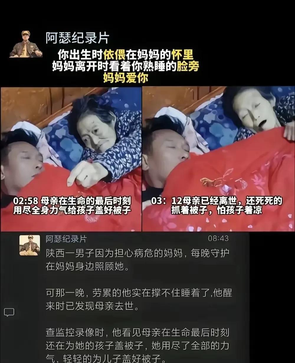 [捂脸哭][捂脸哭][捂脸哭]