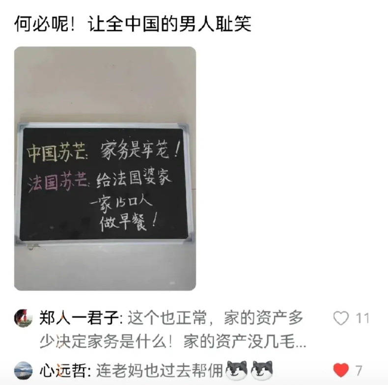 不得不说苏芒揭开了中国所谓独立精英女性的遮羞布，她们表面上是精英，表面上是独立女