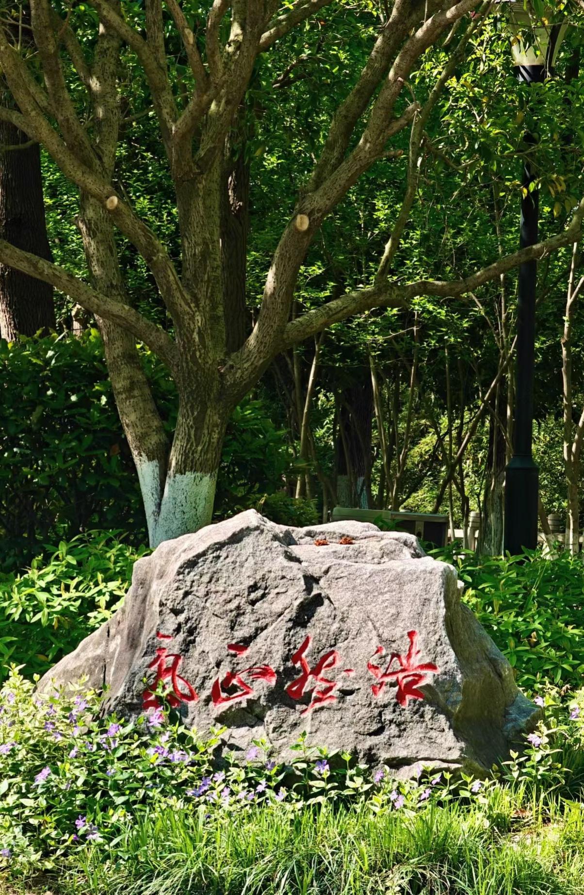 渡人不如渡己，余生很短，管好自己就是顶配活了大半辈子才慢慢明白，这世上最难