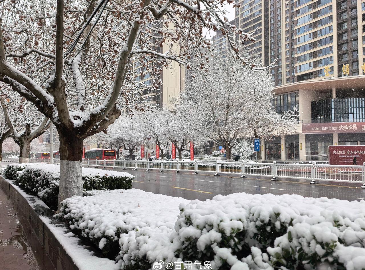 【天水：普降大雪，局地暴雪】3月13日夜间开始，天水普降大雪，清水县中部、张家川