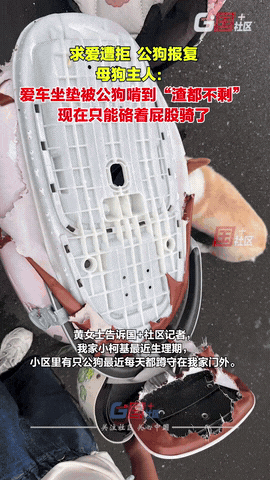 “因爱生恨？”安徽合肥，一女子家的母柯基生理期到了，结果小区里的一只公狗发现后，