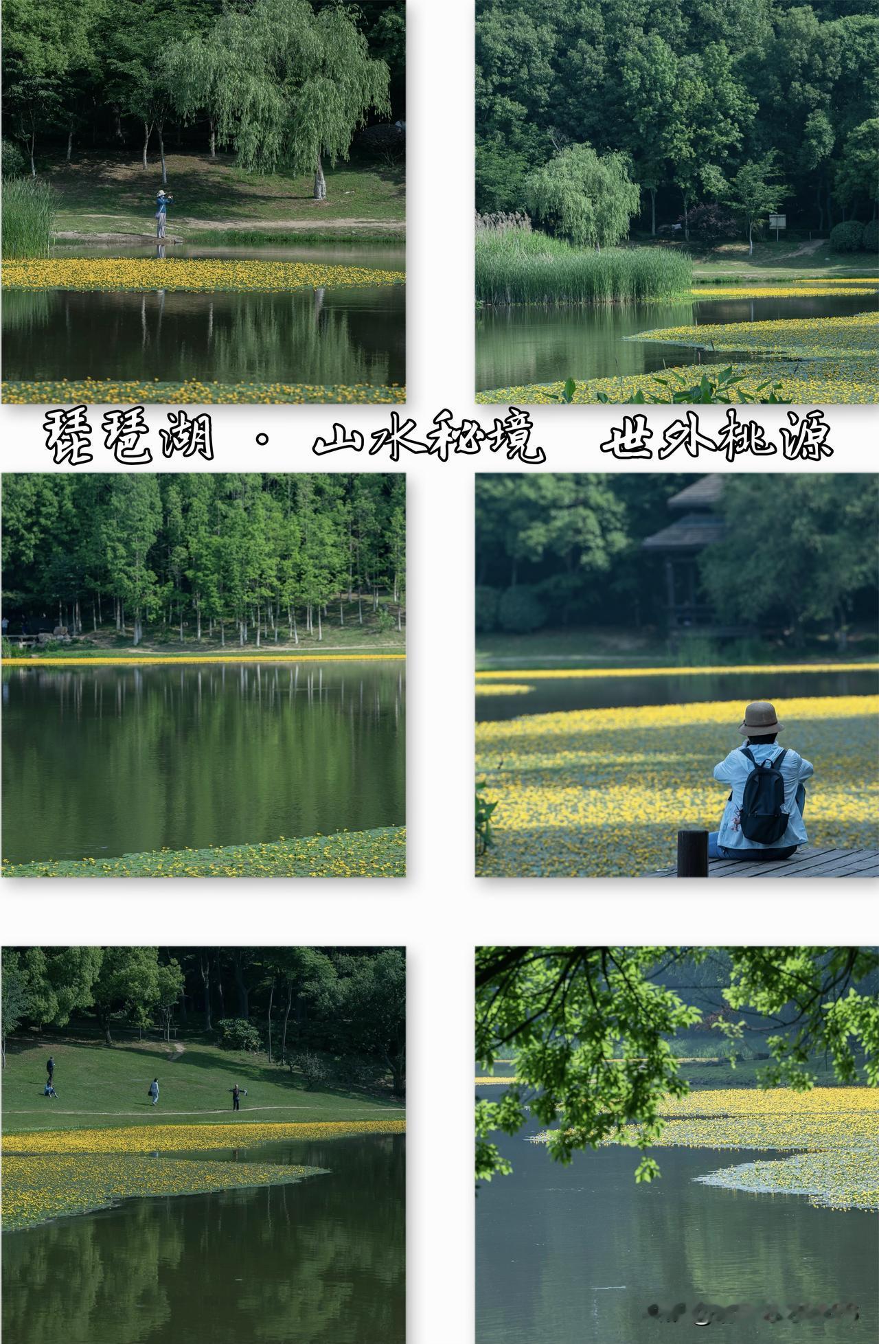 南京琵琶湖｜山水秘境世外桃源昨日寥寥数帧画面，终究难以尽数盛放湖畔万般美好