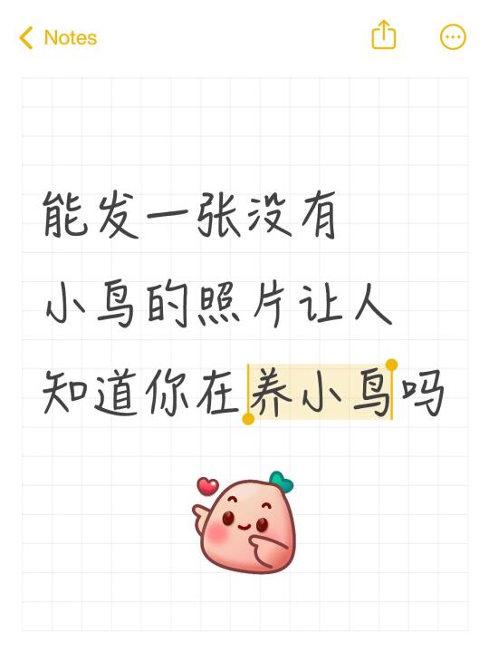 鸟鸟教