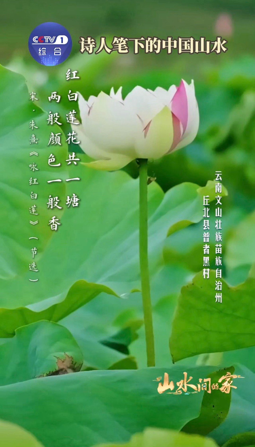 中国人用几千年给山水写诗面对中国山水古人全是诗张力山是凝固的诗，水是流动的韵。