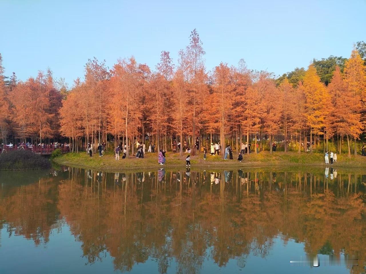 DeepSeek给普通人的一生财务指南……20-30岁：攒钱打底、试错成