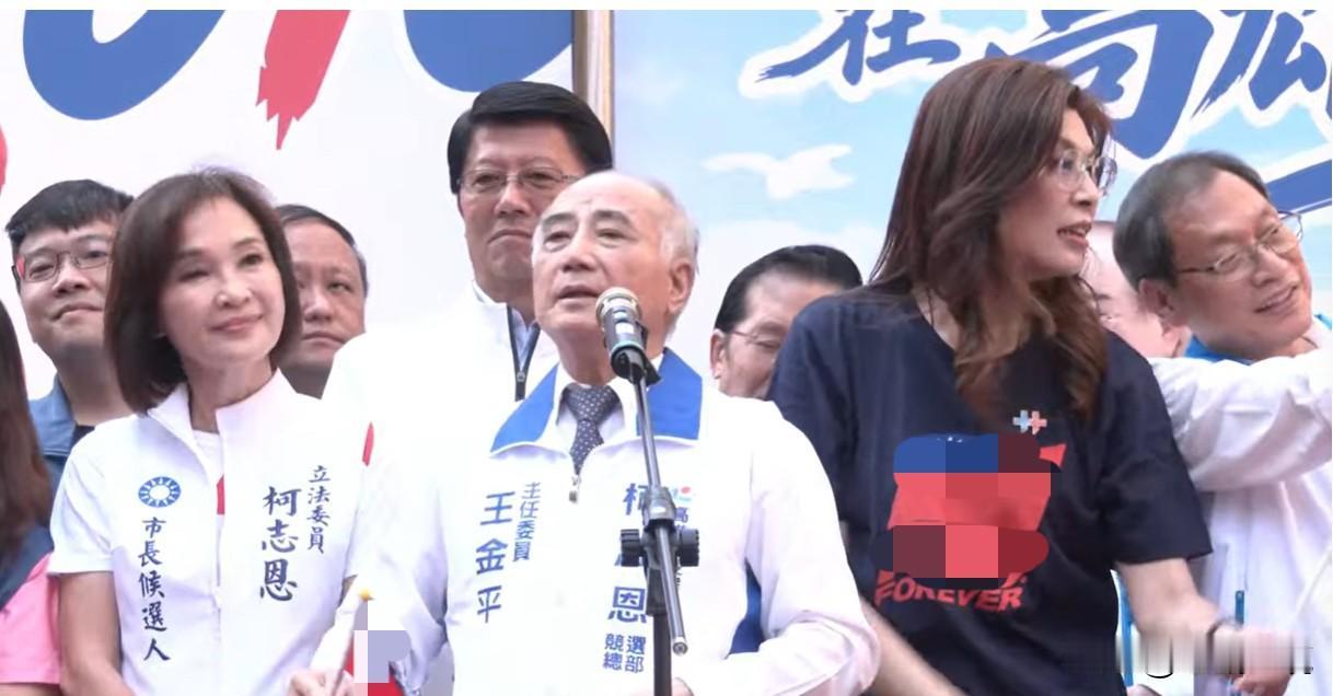 王金平批民进党切割历史是假的中华XX国民党中央今天（10日）上午在高雄举办