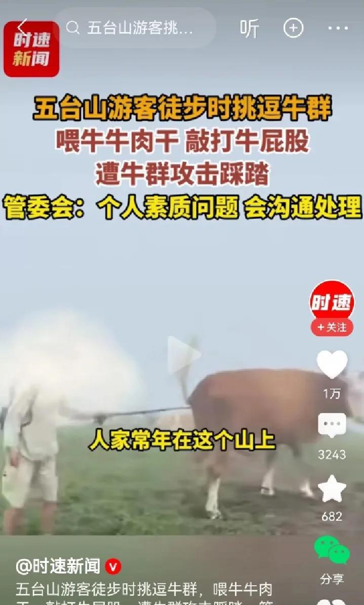 你就说这个到五台山游玩游客的手是多么的欠吧？不单敲打母牛的屁股，而且直接用登山
