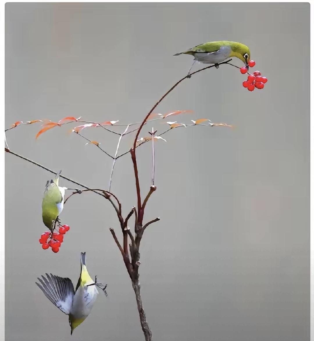 我妈去年摔了一跤，再没自己上过厕所。我学着换尿管、擦身子、记血压，手指甲缝里总有