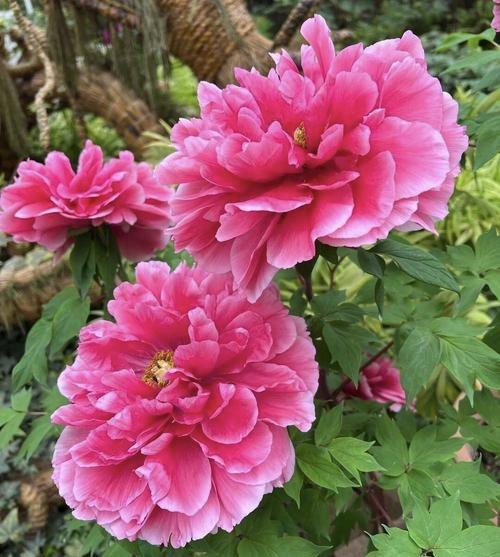 做人的决窍：对人只看优点对自己专找缺点“寻找别人的优点是打开天堂之门，说