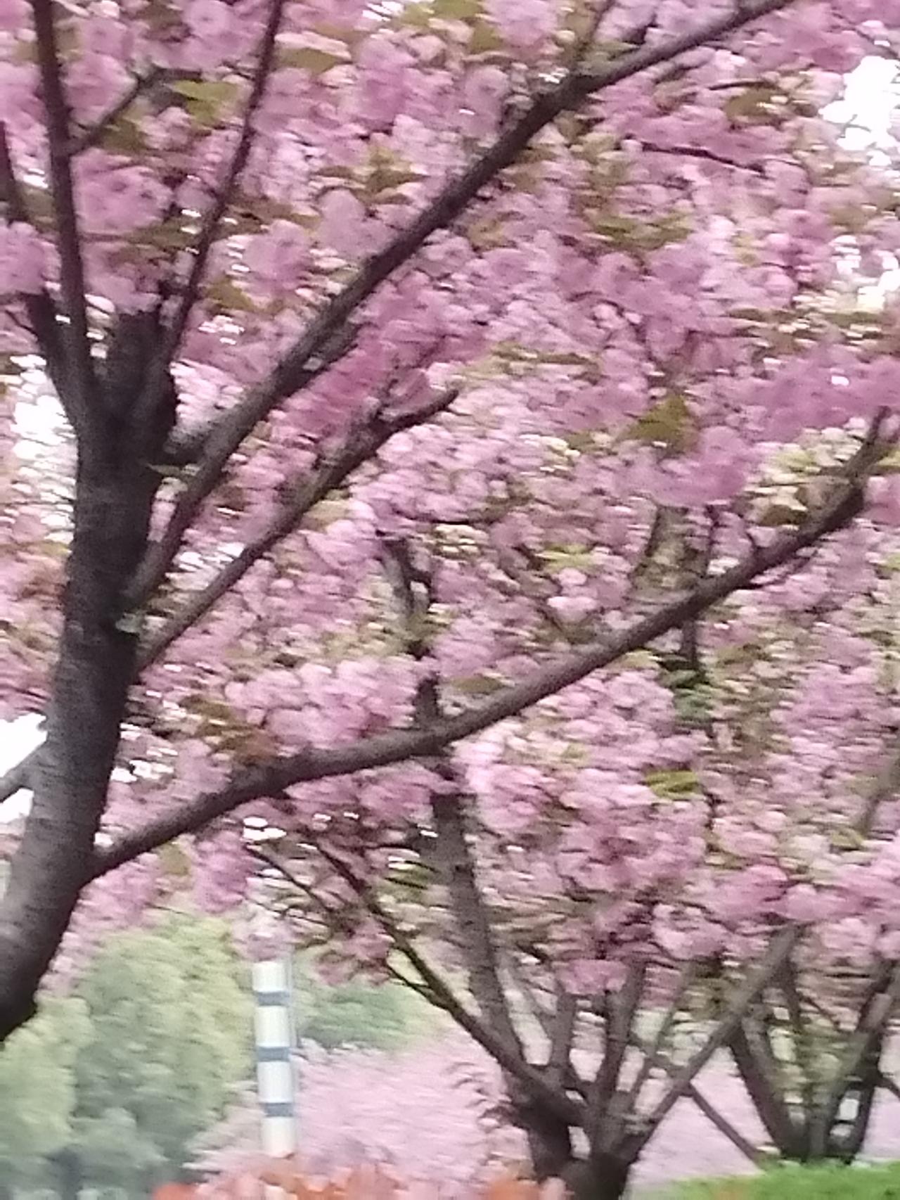 上联是“冬雪滋红梅”，我们先来分析一下其中的意境和结构：词性和结构：“冬雪