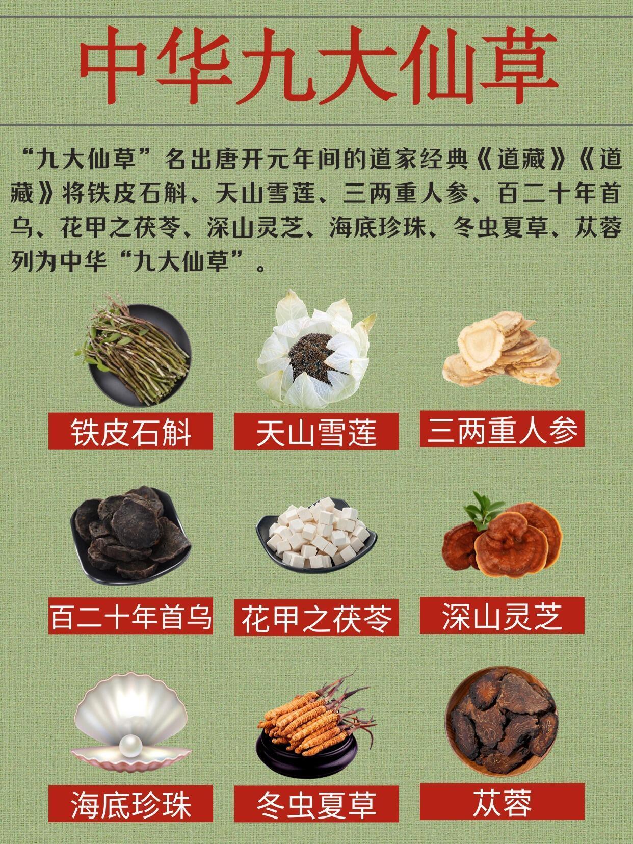 ✅“九大仙草”名出唐开元年间的道家经典《道藏》，《道藏》将铁皮石斛、天山雪莲、三
