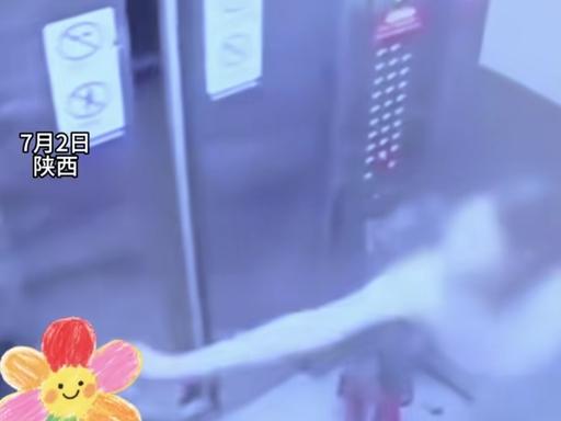 7月2日，陕西渭南一部电梯里，孩童只是随口夸奖自行车好看，伸手轻触车把并无恶意。
