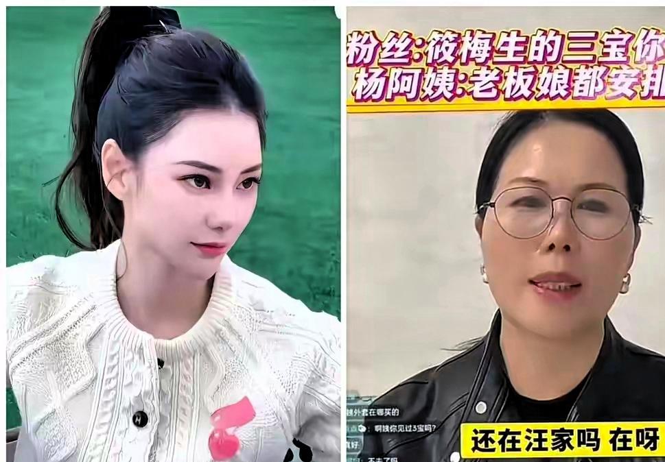 大家都在看，豪门里的事，总是让人好奇，服务久的人，保姆阿姨，他们的一举一动，大家