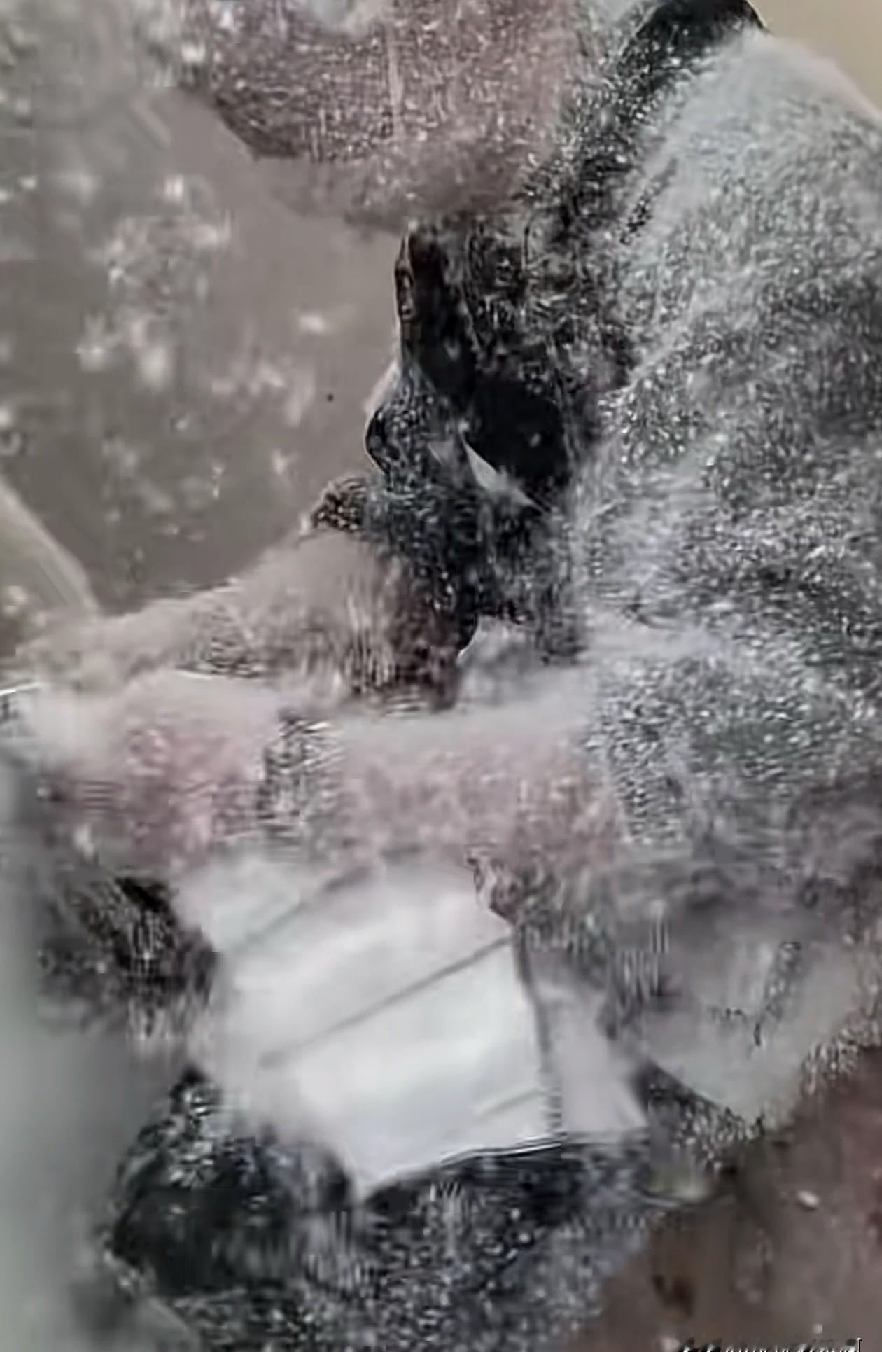 把那件万元羽绒服挂回去的瞬间，我突然不冷了。真的。之前只抱怨它钻绒，嫌它臃肿