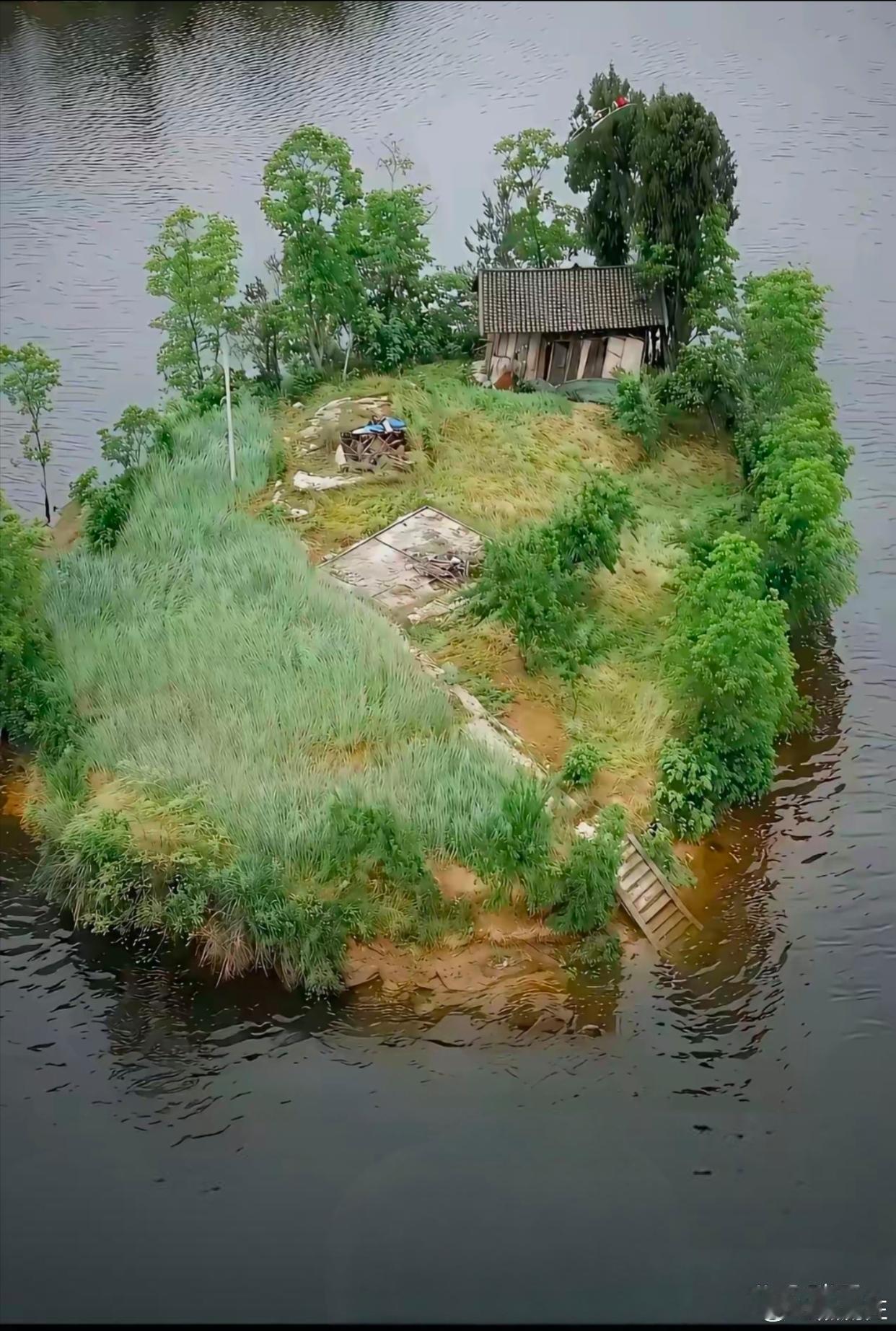 如果住在这个小岛上，你们觉得最大好处会是什么？
