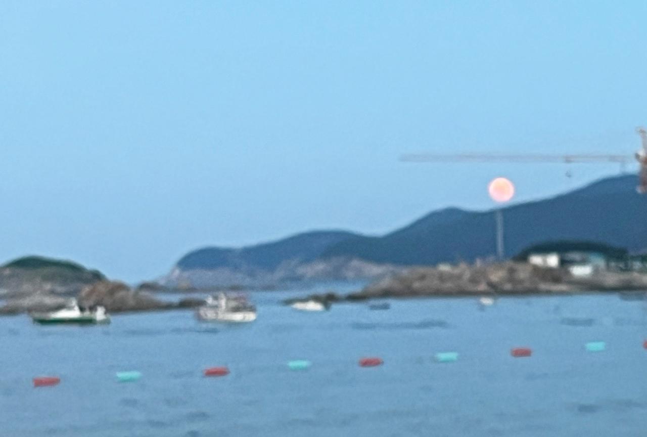 曾仕强说：“一定要记住这句话，坏人是来帮你的，而小人是来渡你的，那些总是欺负你，