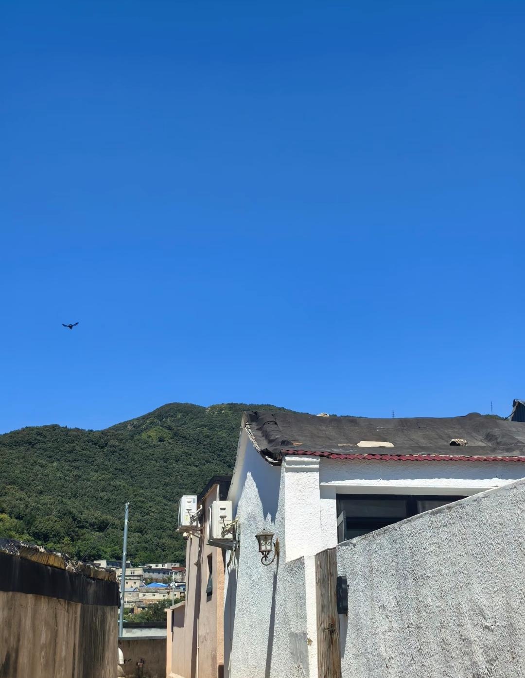 为什么领导总是分不清谁才是真正干活的人？领导不是分不清，而且不屑于去分清谁
