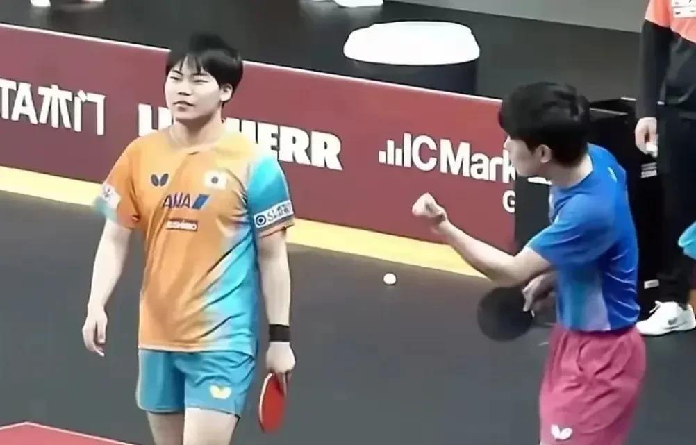 怪不得松岛辉空看不起张本一家！张本美和摔倒，松岛不扶一把，当时我还谴责过他