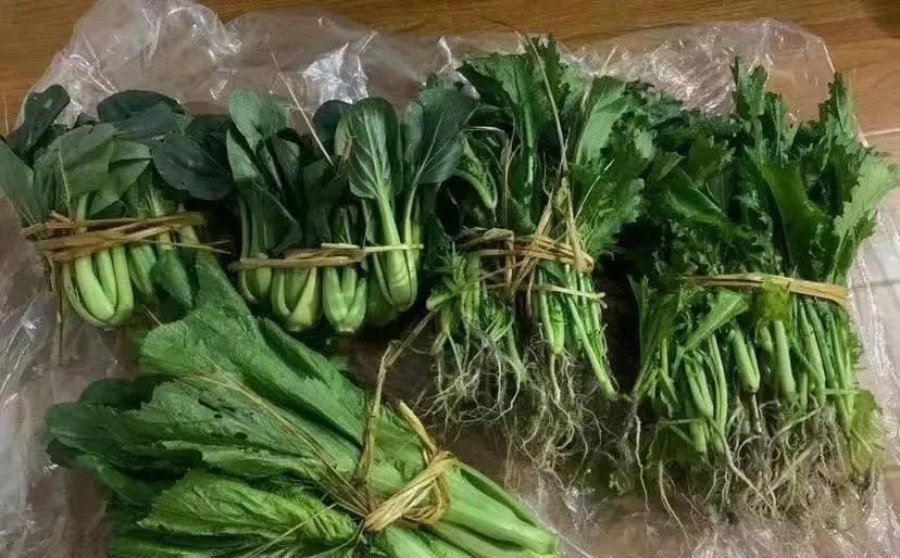 安徽合肥一名离异少妇去公园跑步内心无比难受，在路口她看到一名上了年纪的老人在饭店