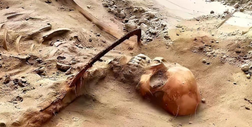 2024年12月，河南舞钢一台挖掘机挖出了1068具遗骸。司机一铲子下