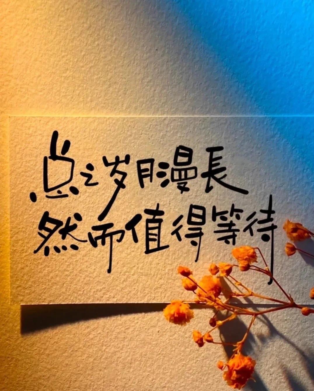 人生如一场漫长而复杂的旅程，每个人都在其中不断探索、迷失、顿悟，然后再次出发。回