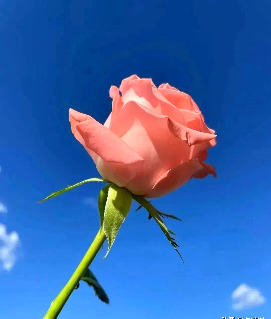 阳光透过窗帘洒在温暖的客厅，恰好落在一张桌子上，桌子上摆放着几本书和一个精致的咖