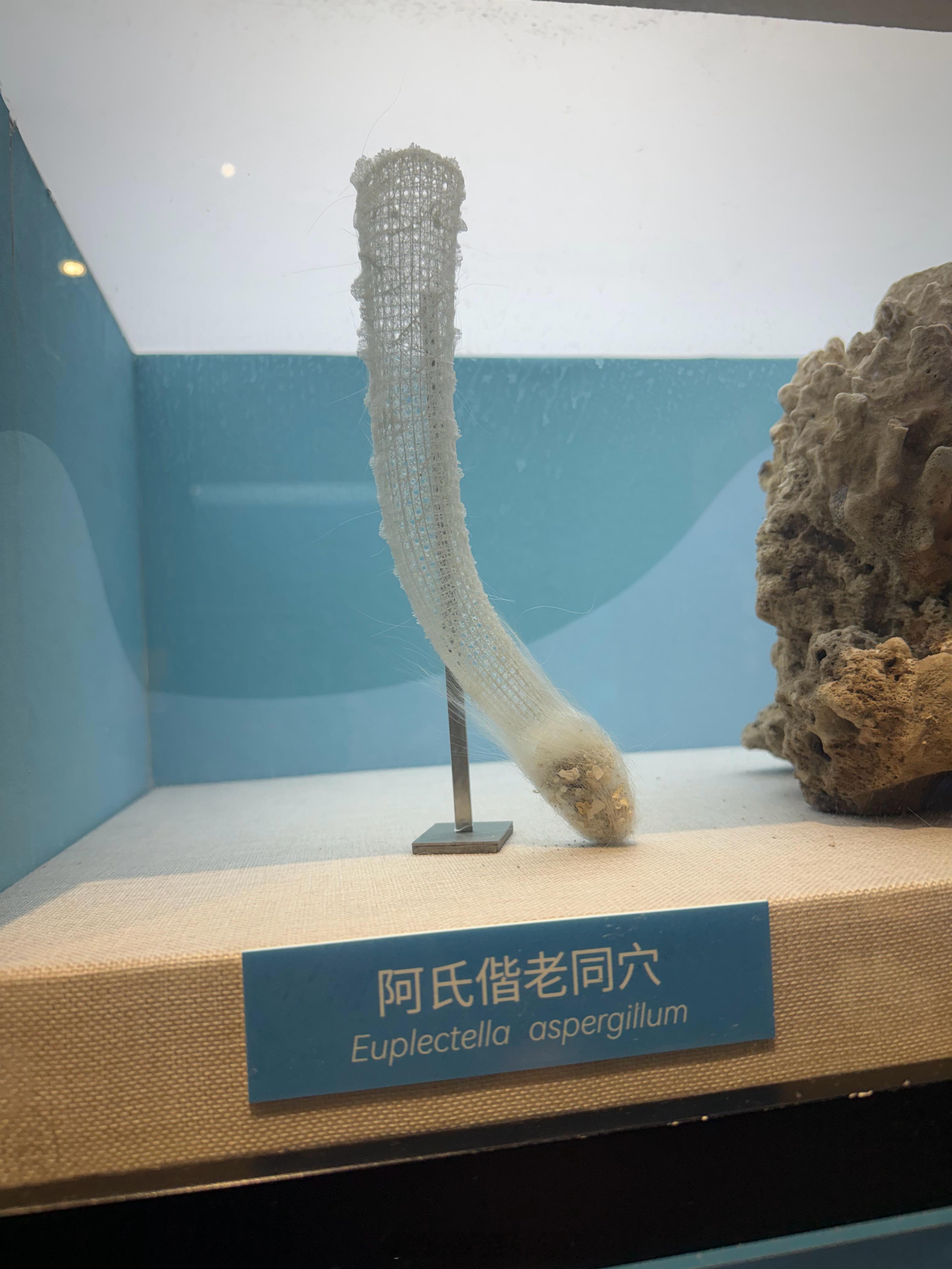 你好，老同学北京·国家自然博物馆