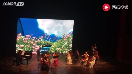 郑成河-哈尔的移动城堡(人生的旋转木马)_土豆