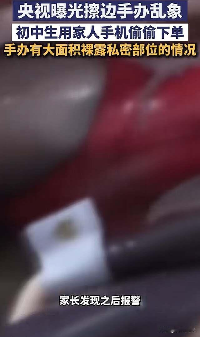 江苏宜兴，初中生女孩网购6个手办，家人帮开箱的时候，直接惊掉下巴，这几个手办，造