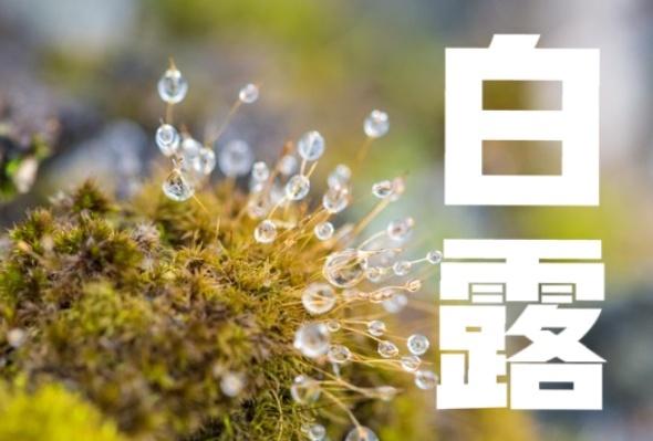 白露后还要热多久？答案来了白露节气今天下午4点52分到了，但高温天气还在持续