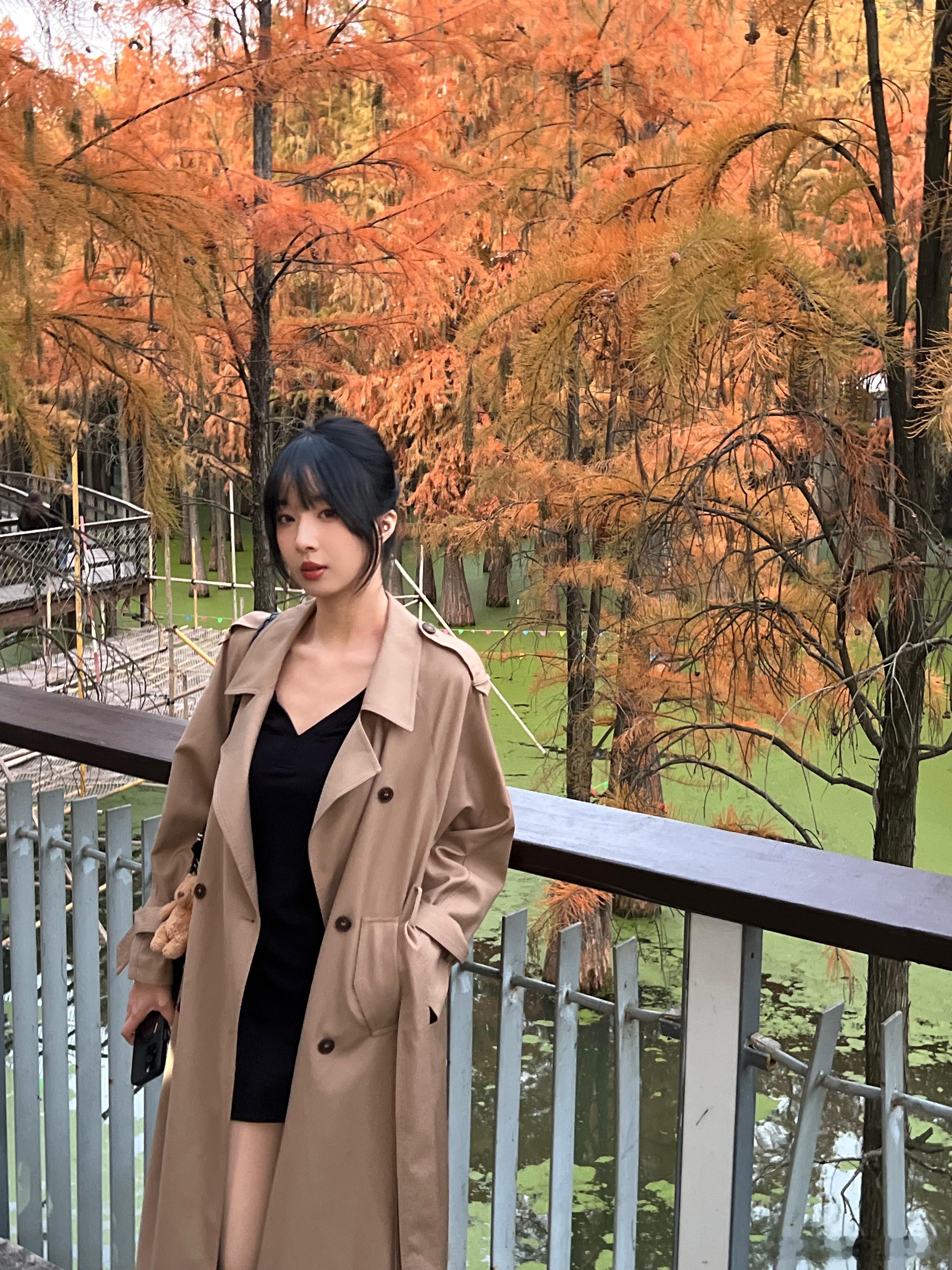 🍂杭州·青山湖水上森林