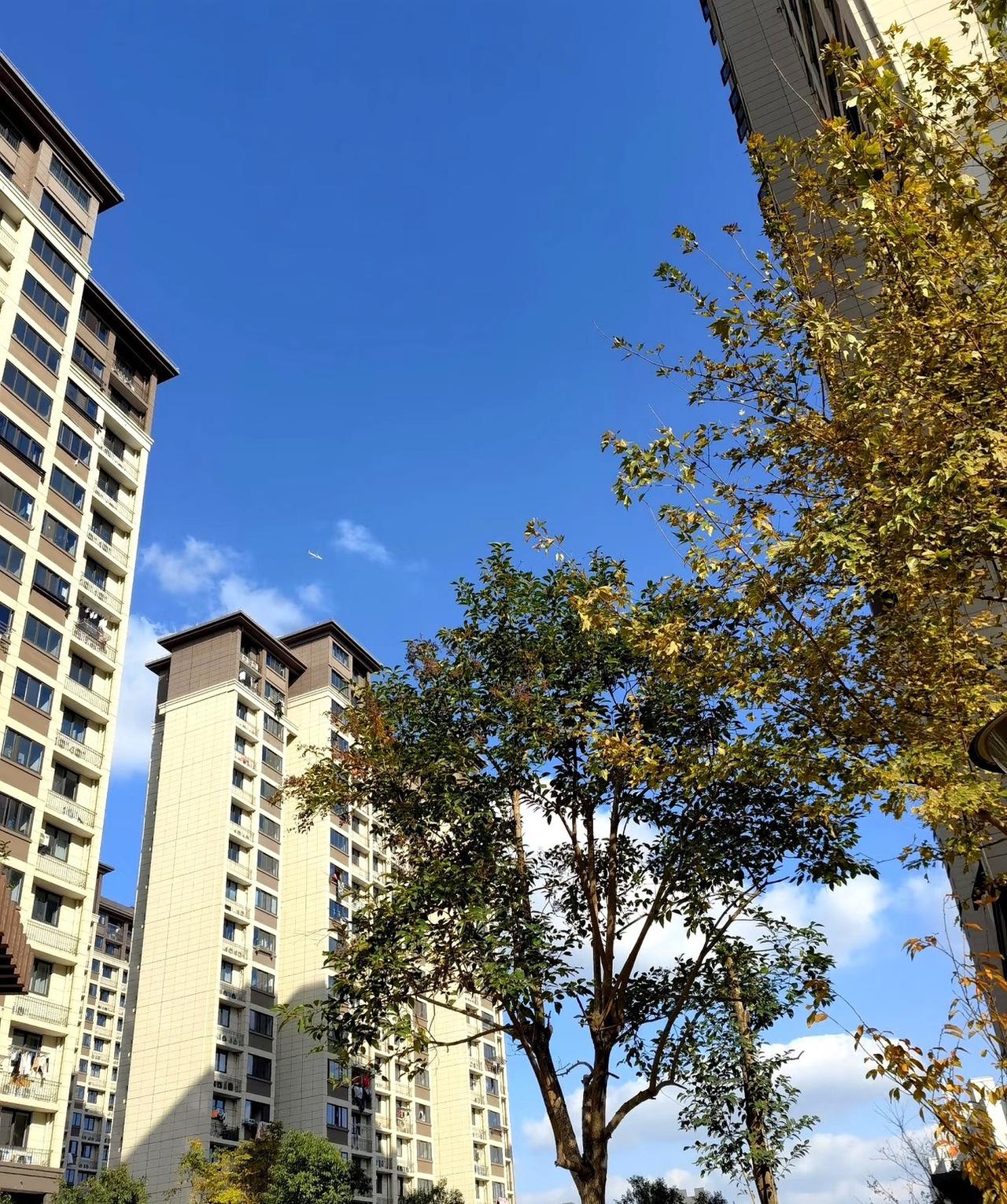 人到五十五，肩上的担子压得我喘不过气今年五十五岁的我，最近常常在夜里睁着眼睛