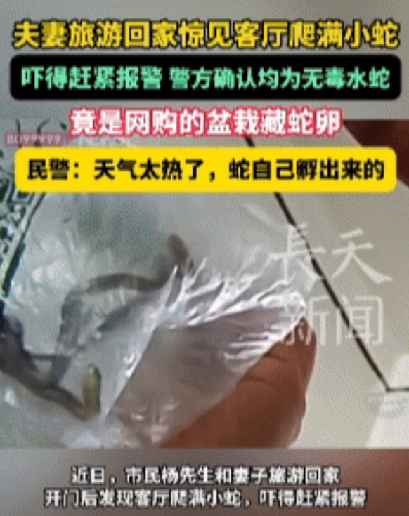 这个家不能住了！云南，一对夫妻外出旅行回家，还没开门就听到屋子里有响声，怀疑家里