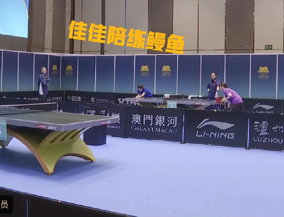 王曼昱打伊藤美诚，这次何卓佳来陪练，马琳指导和任浩教练同陪伴这次澳门世界杯上