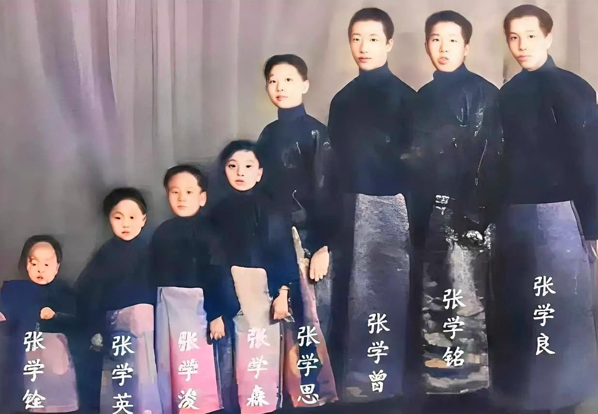 1926年，沈阳，张学良和他的七个弟弟