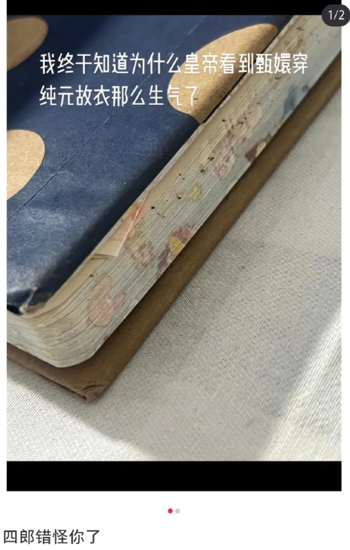 终于知道为什么皇上看到甄嬛穿纯元故衣那么生气了​​​