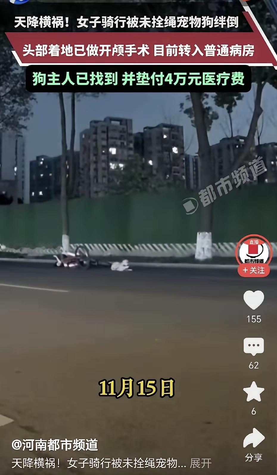 遛个狗，4万没了！成都夜骑女生撞未拴绳狗，头颅出血进ICU险丧命，狗主人持绳不牵