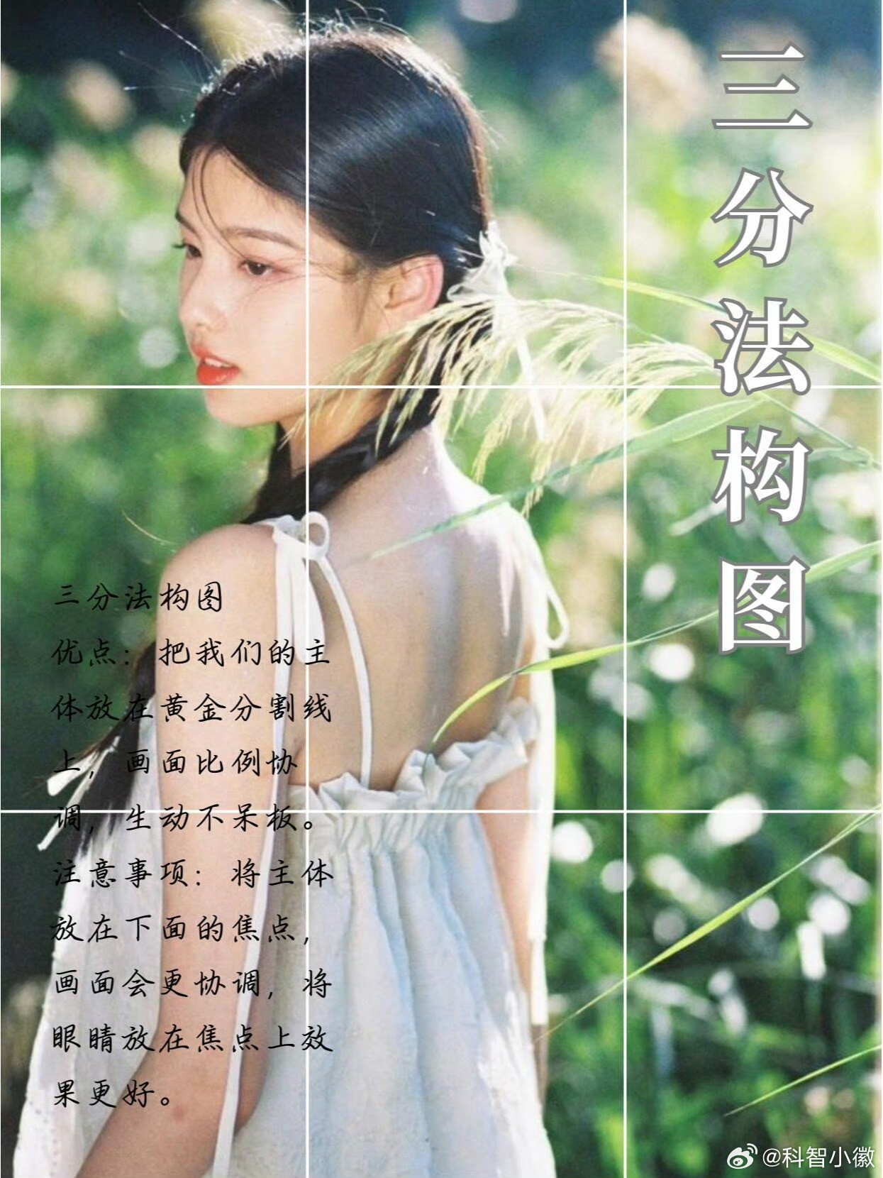 拍照不好看，那是因为不会构图。九种办法，拍出大片的感觉​​​#我妈退休后成了野生摄影师#​