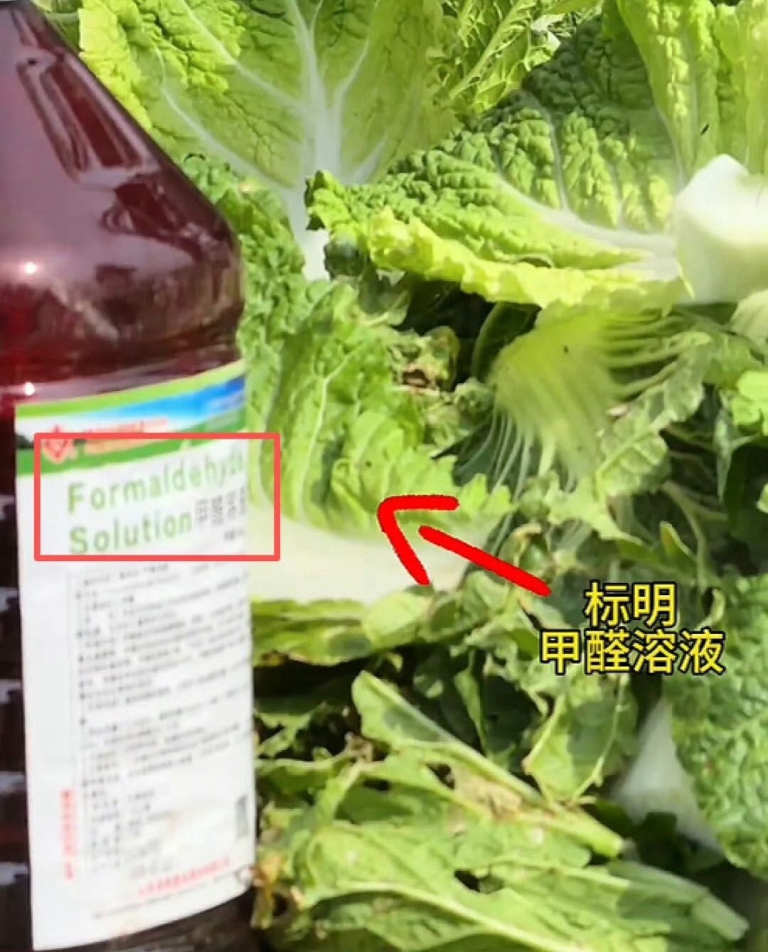 令人揪心的甲醛白菜事件冲上热搜！河北张家口个别商贩，为了长途运输保鲜、减少损耗，