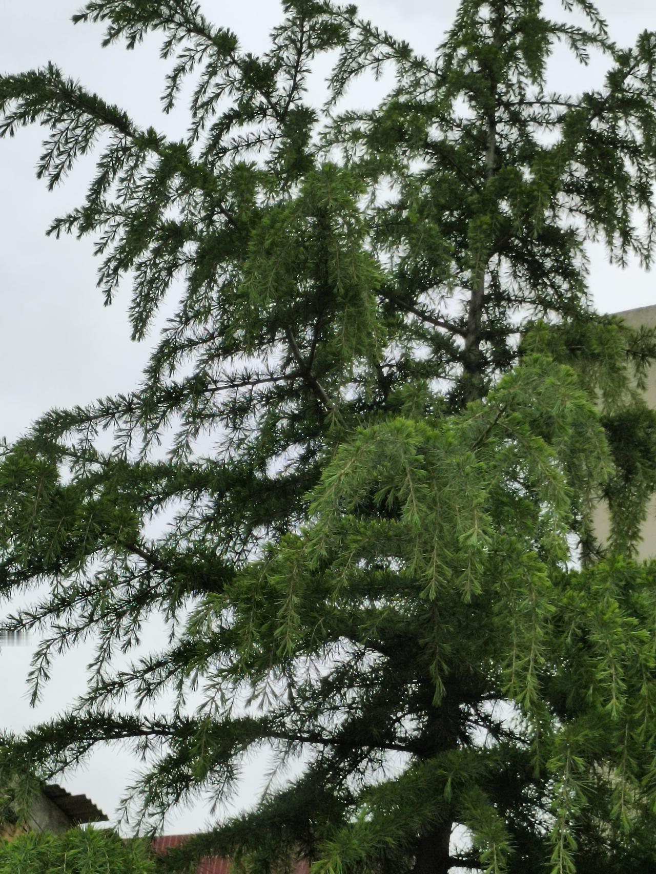 人的本性，这辈子都改不了常听人说，浪子回头金不换，也有人说坏人总能改好，可