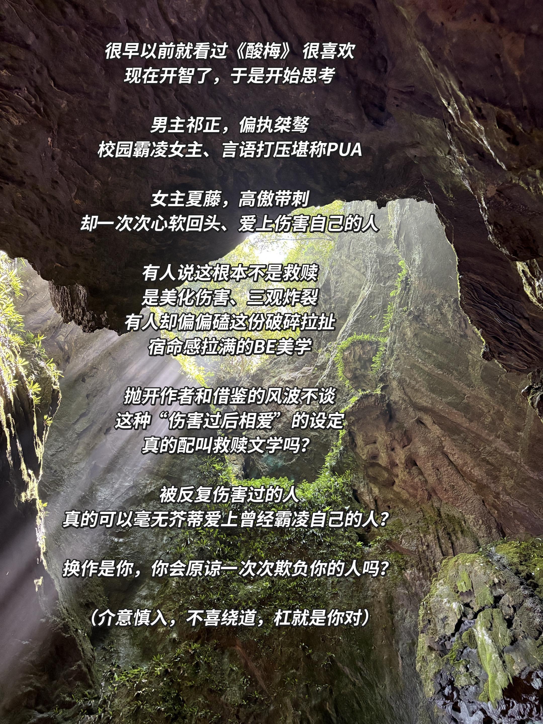 《酸梅》真的算救赎文吗。